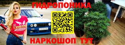 эйфоретик Бугуруслан