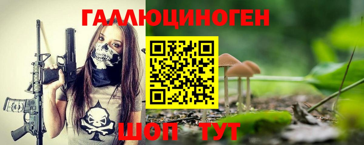 Советская Гавань  где можно купить   Вход с VPN  Галлюциногенные грибы Psilocybine cubensis 