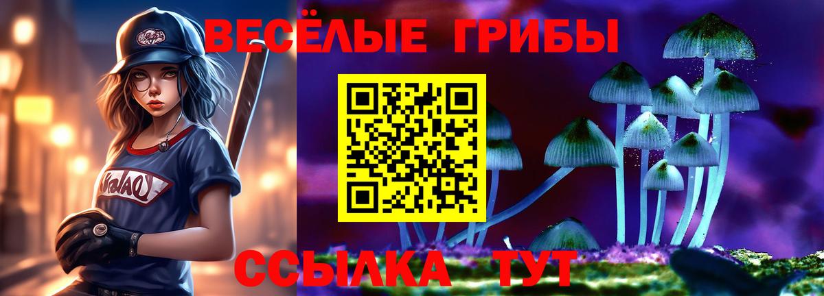 Галлюциногенные грибы GOLDEN TEACHER Советская Гавань
